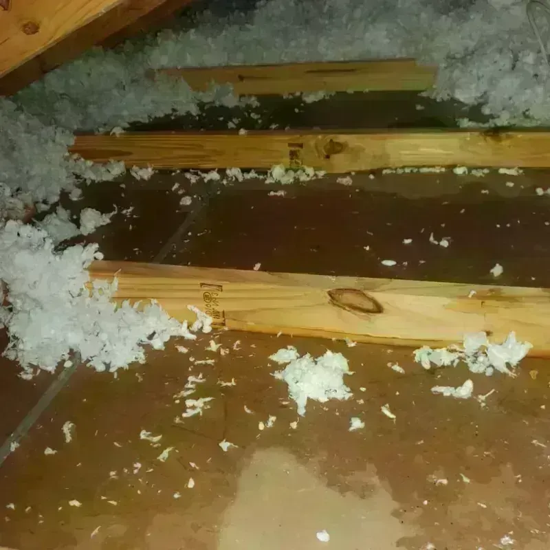 Attic Water Damage in East Newnan, GA