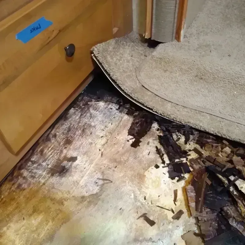 Best Wood Floor Water Damage Service in East Newnan, GA